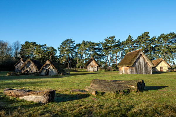 Village overview