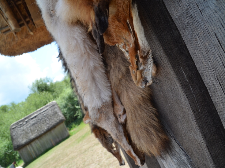 Animal Skins