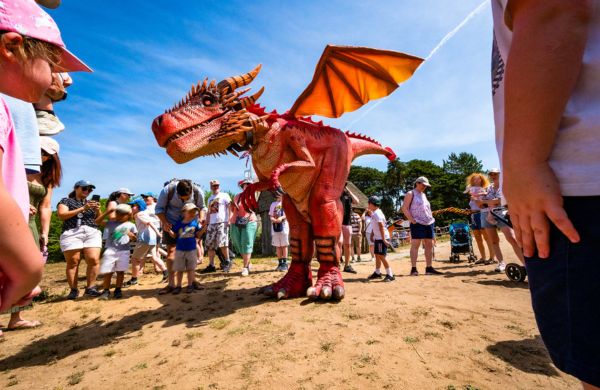 Dragon Fest 2026 early bird offer