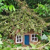 Elf house  